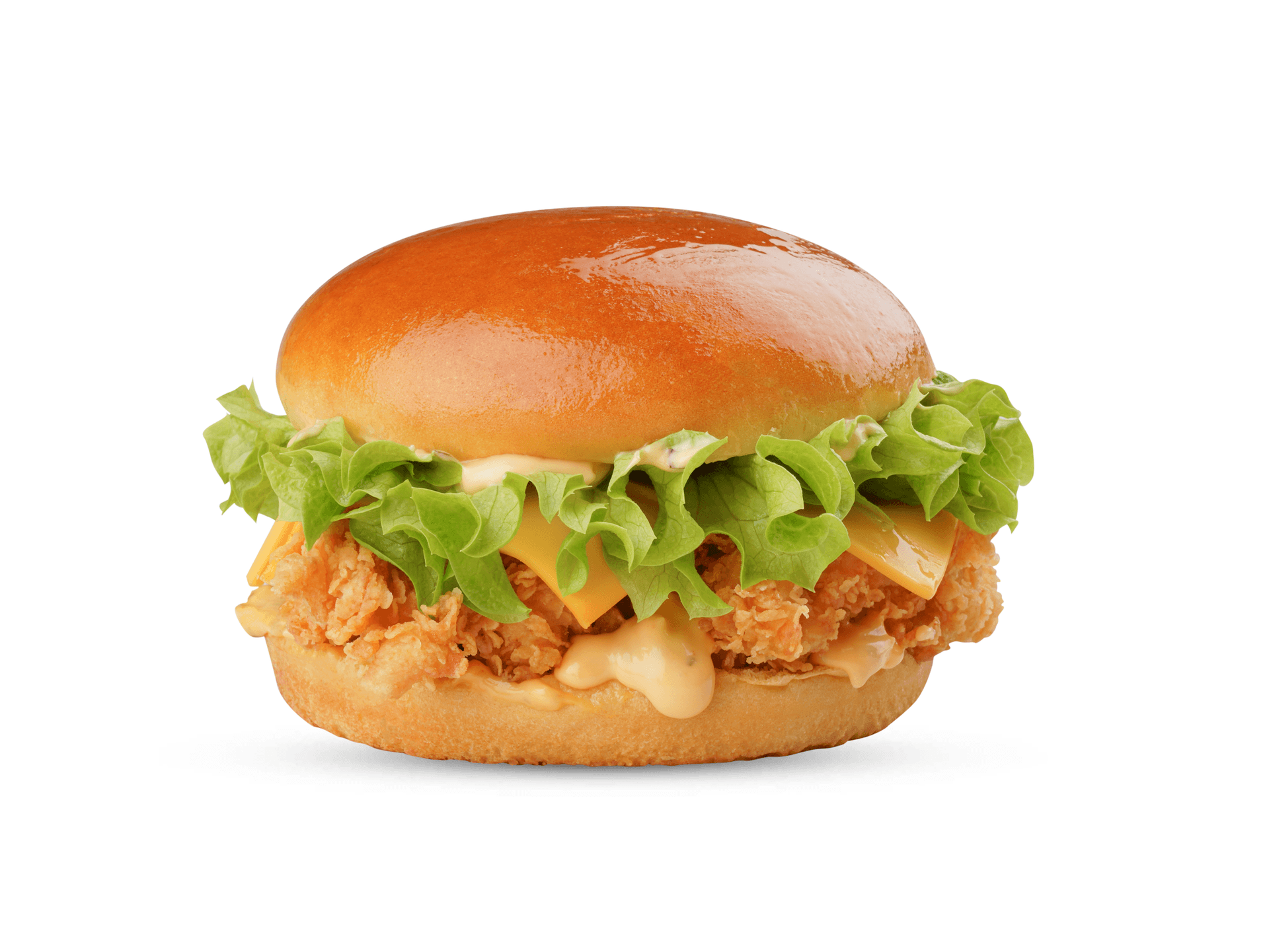 Peri Peri Burger